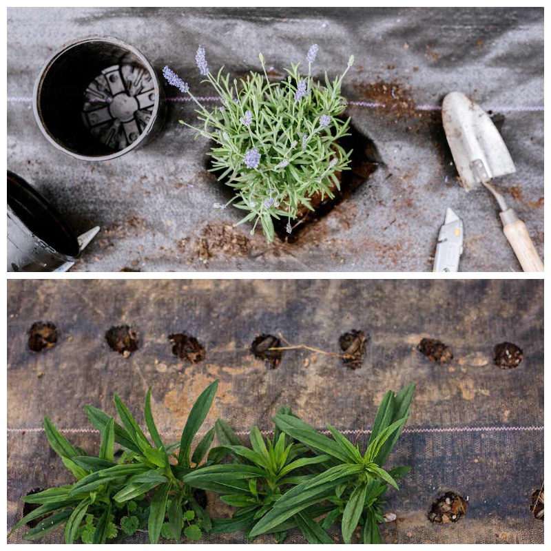 Landscap woven fabric 