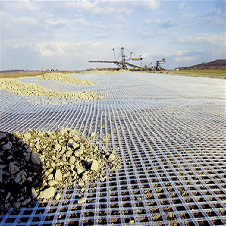 PTE geogrid