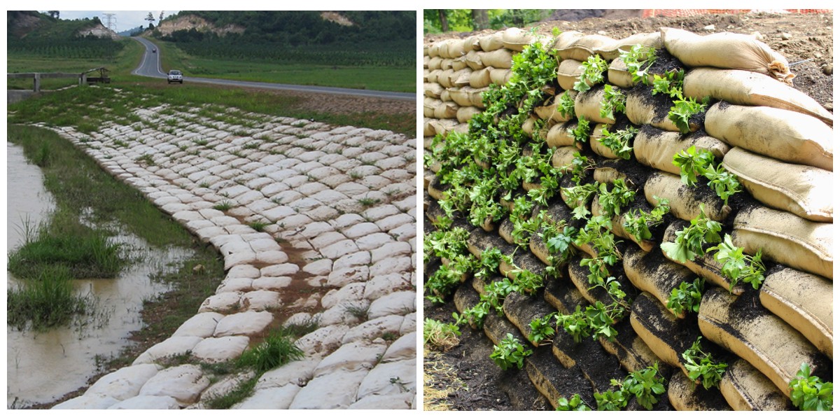 giá túi vải không dệt PET