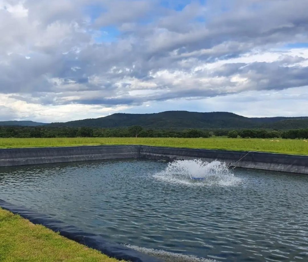 Best Geomembrane Sheet