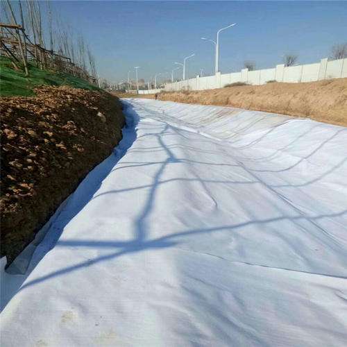 hệ thống thoát nước địa kỹ thuật