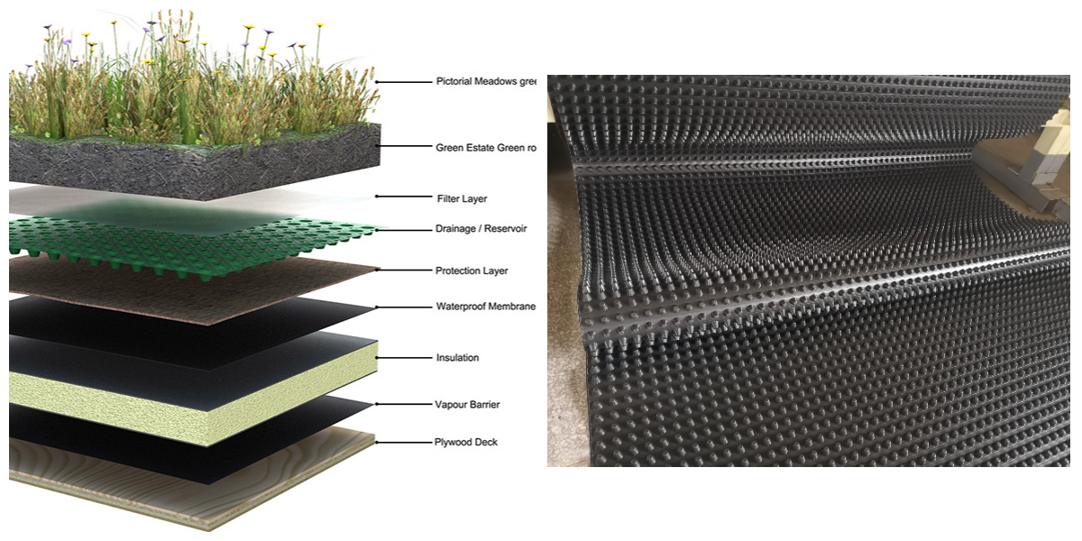Tấm thoát nước