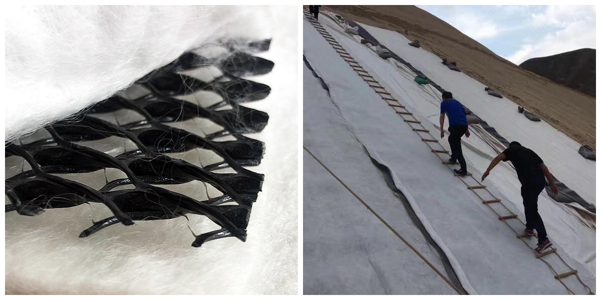 Thoát nước geonet.jpg