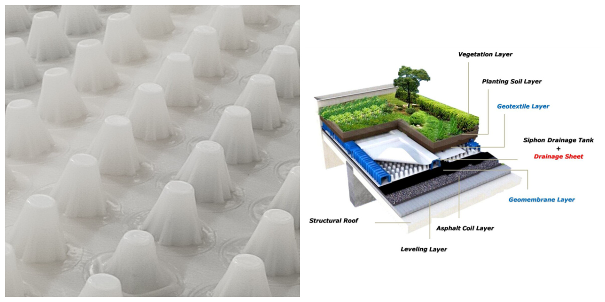 Tấm thoát nước HDPE.jpg