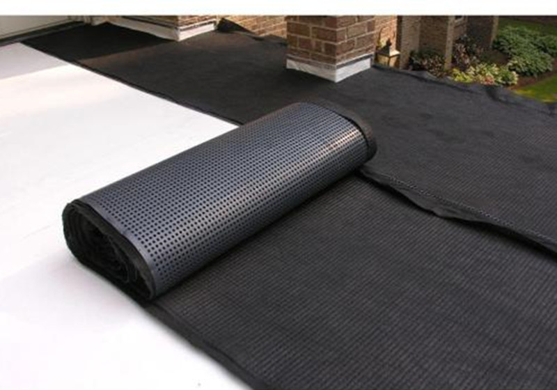 tấm thoát nước lúm đồng tiền