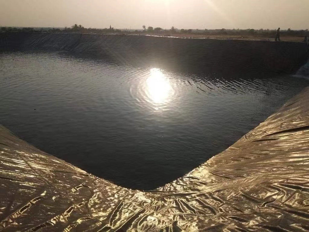 Best Geomembrane Sheet