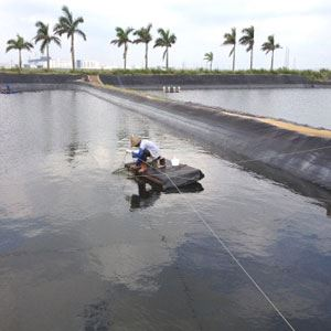 Geomembrane HDPE 2mm