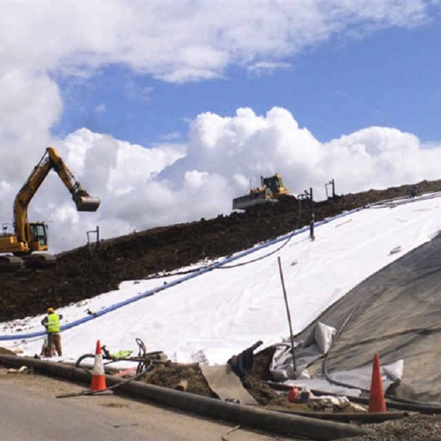 Geocomposite drainage sheet