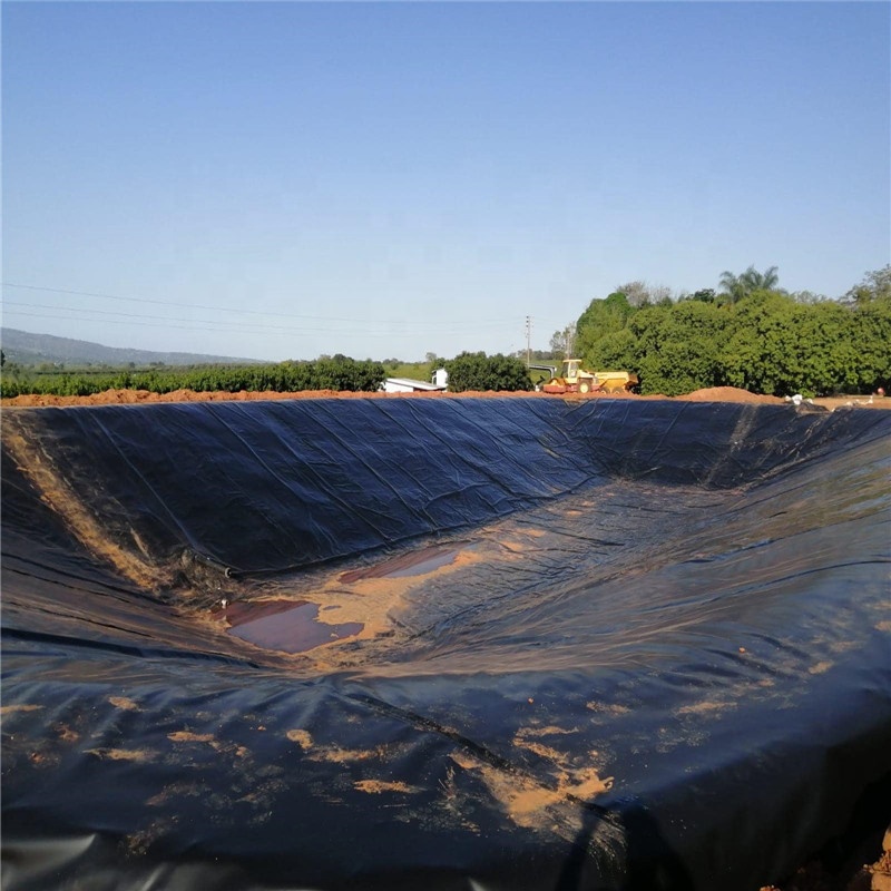 HDPE Geomembrane GM13
